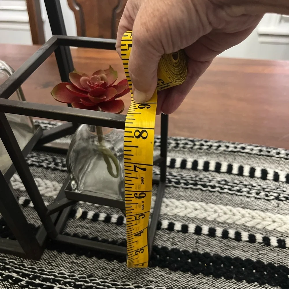 Set of 2.  Modern Black Metal Frame with Red Succulent Accent - Magnolia Home - Picture 2 of 3